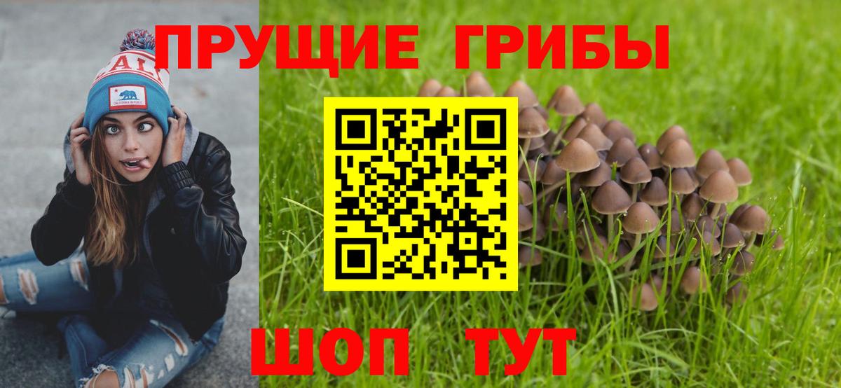 Дедовск  Псилоцибиновые грибы Psilocybe  Вход с VPN  Псилоцибиновые грибы MAGIC MUSHROOMS 